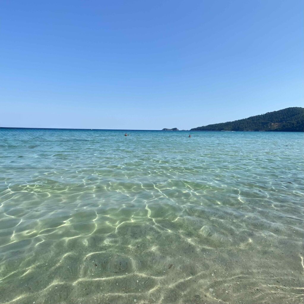 Counselling and psychotherapy in a calm, open and reflective space